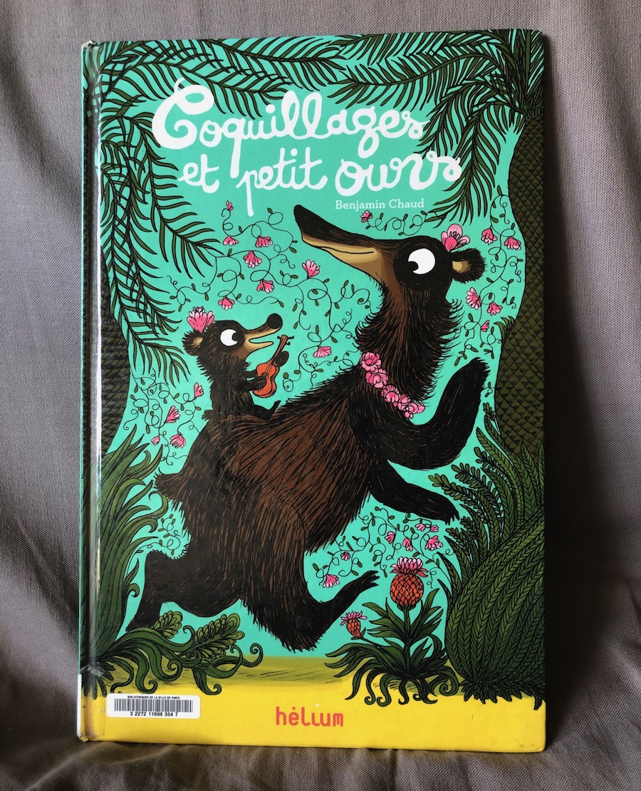 Coquillages et petit ours couverture