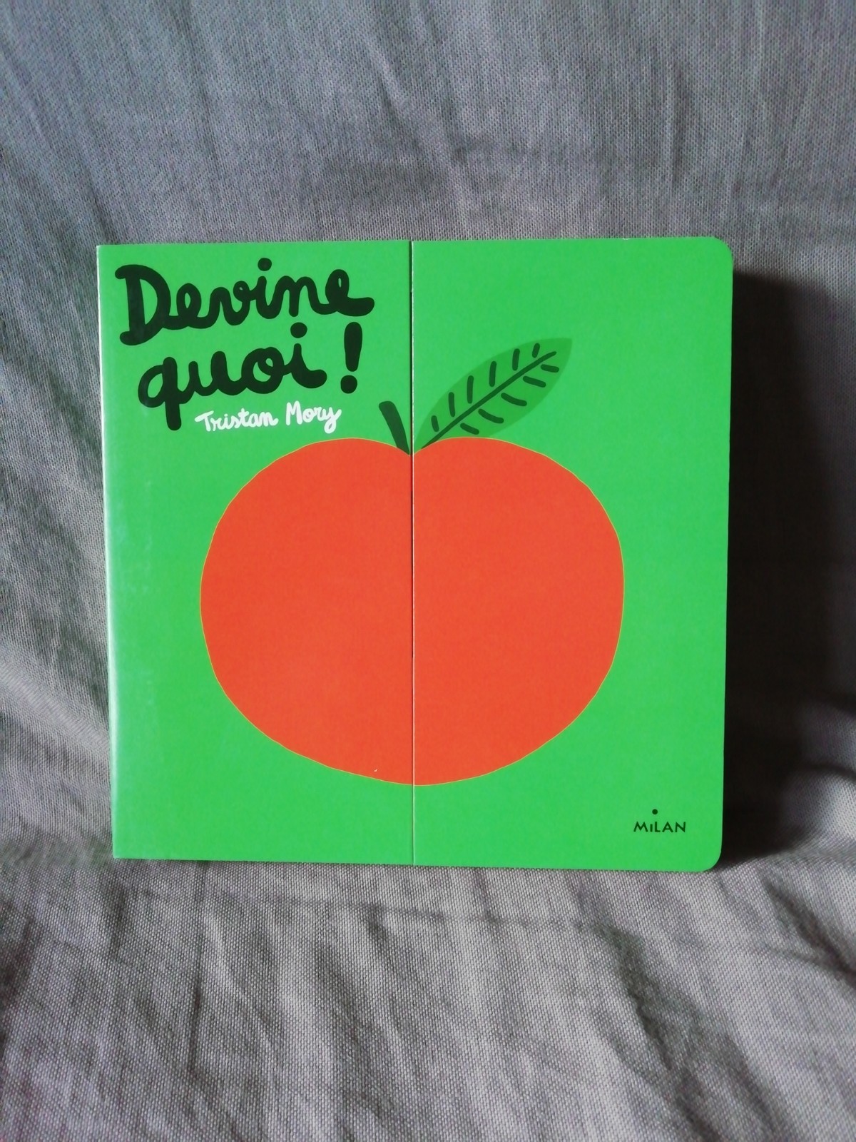 Devine quoi couverture