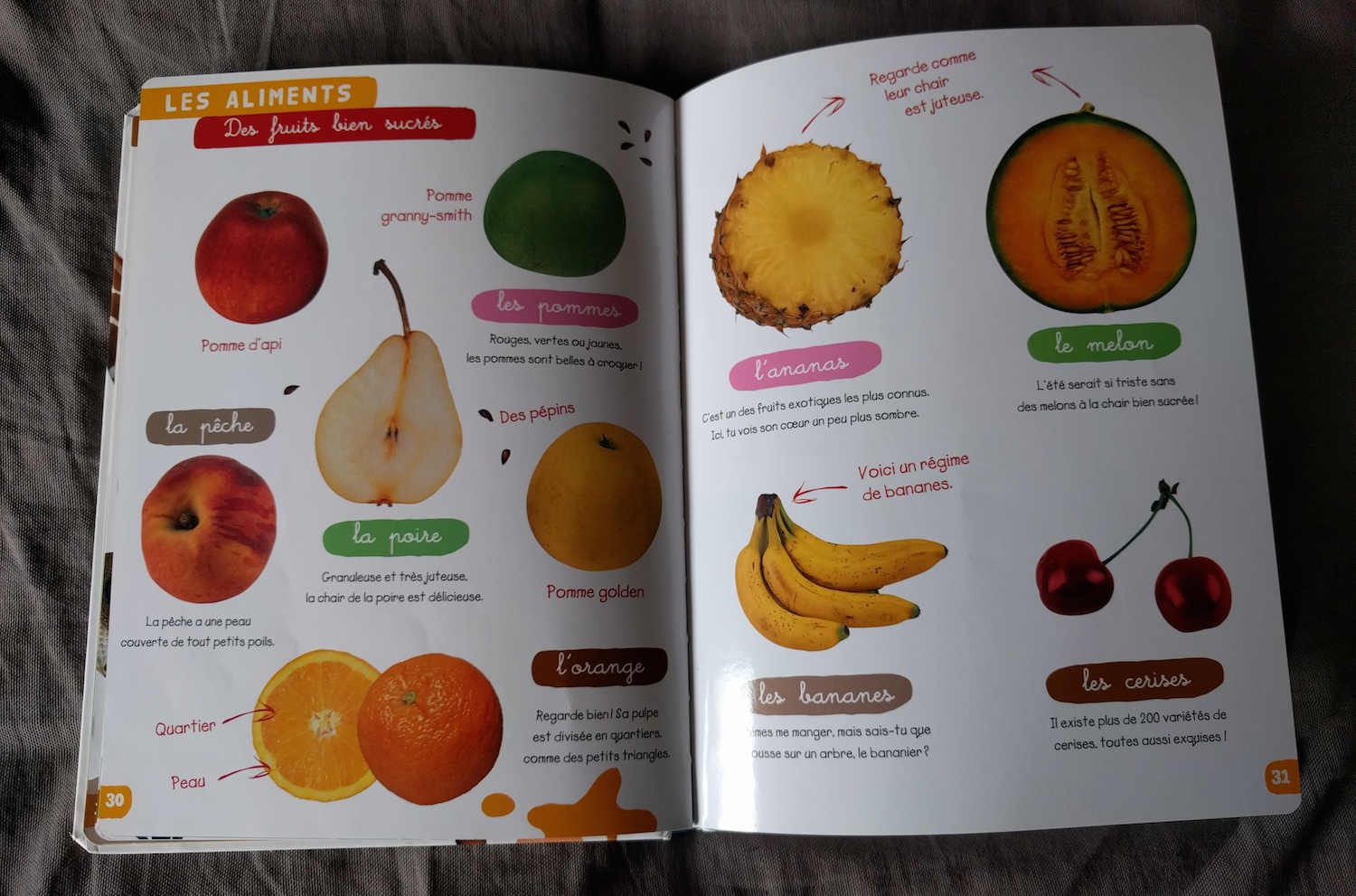 imagier de tous les jours pages