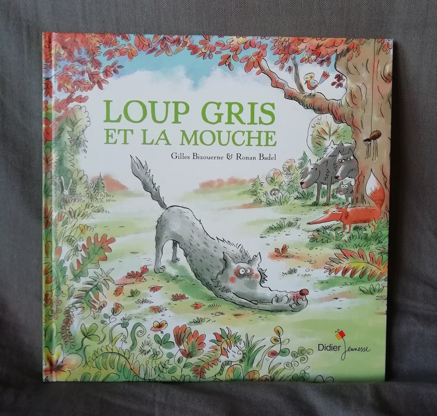 loup gris et la mouche couverture