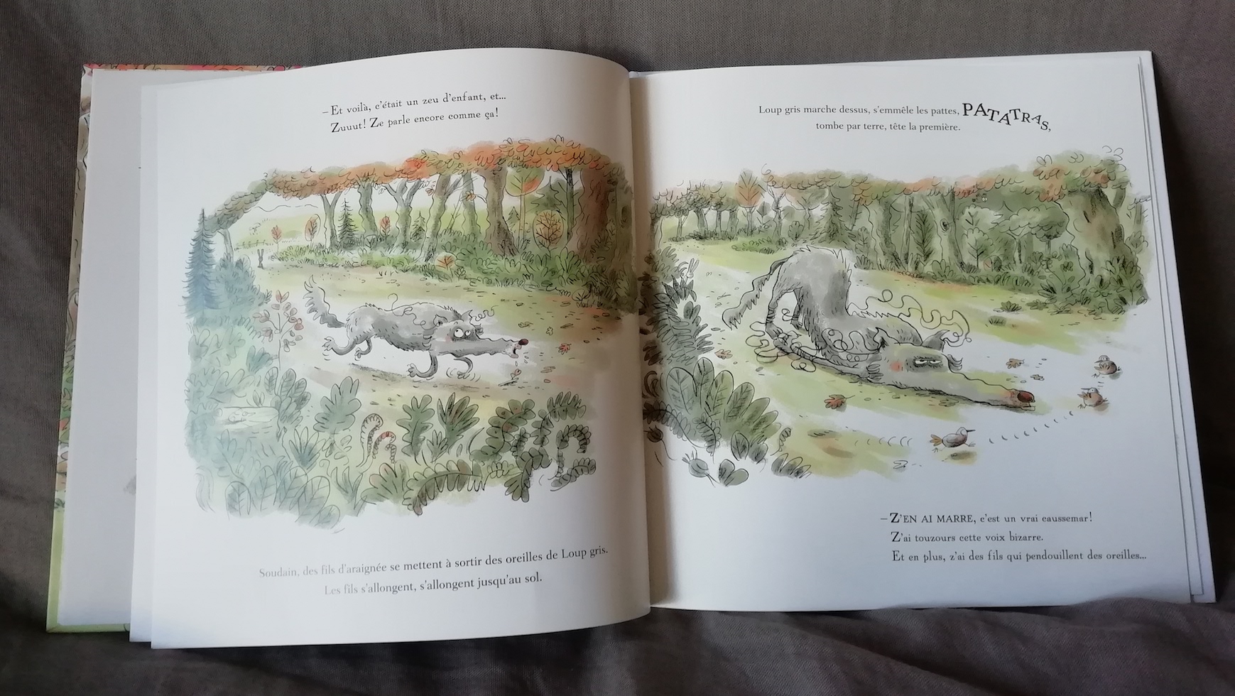 loup gris et la mouche pages