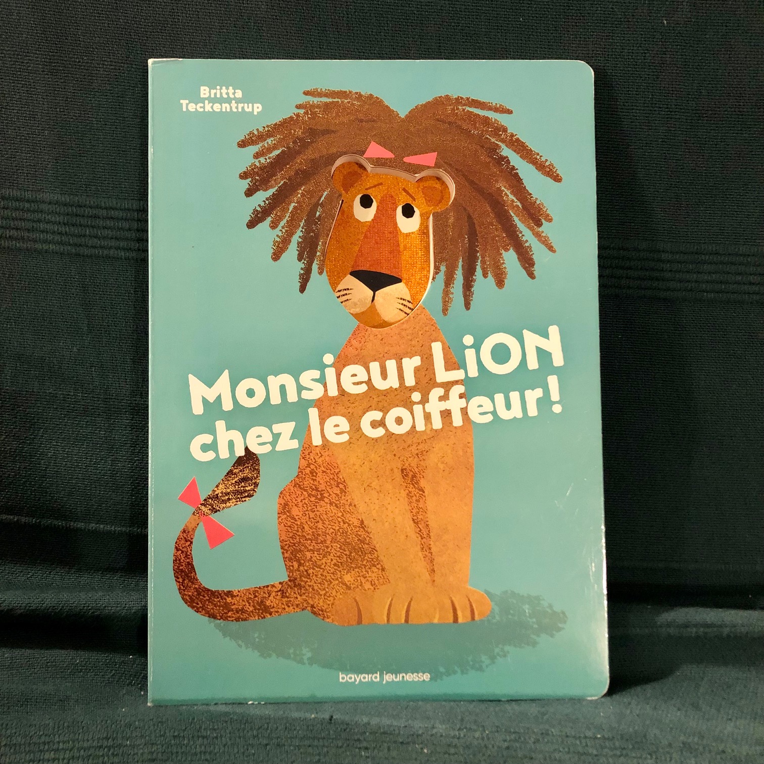 monsieur lion chez le coiffeur couverture