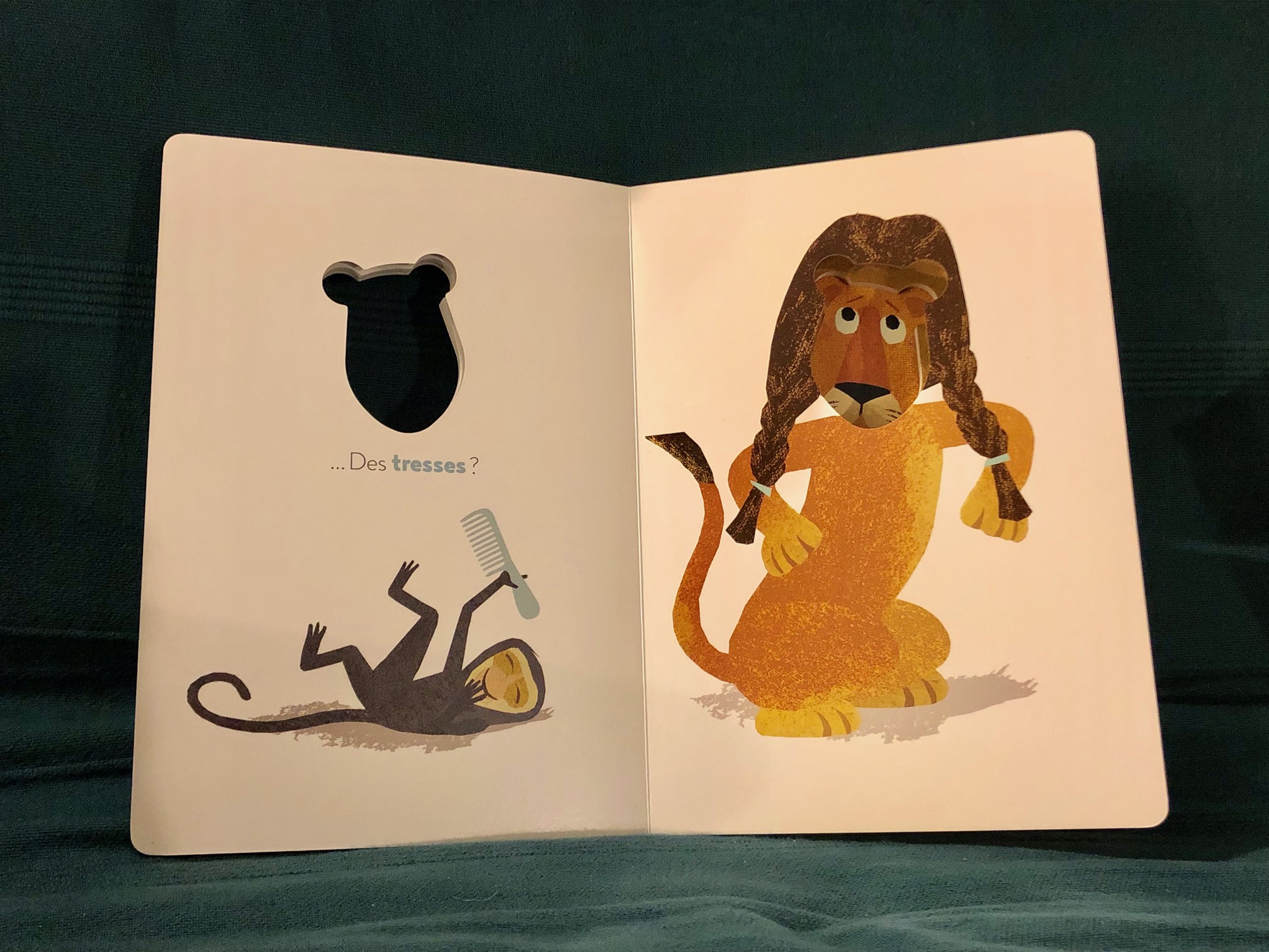 monsieur lion chez le coiffeur page