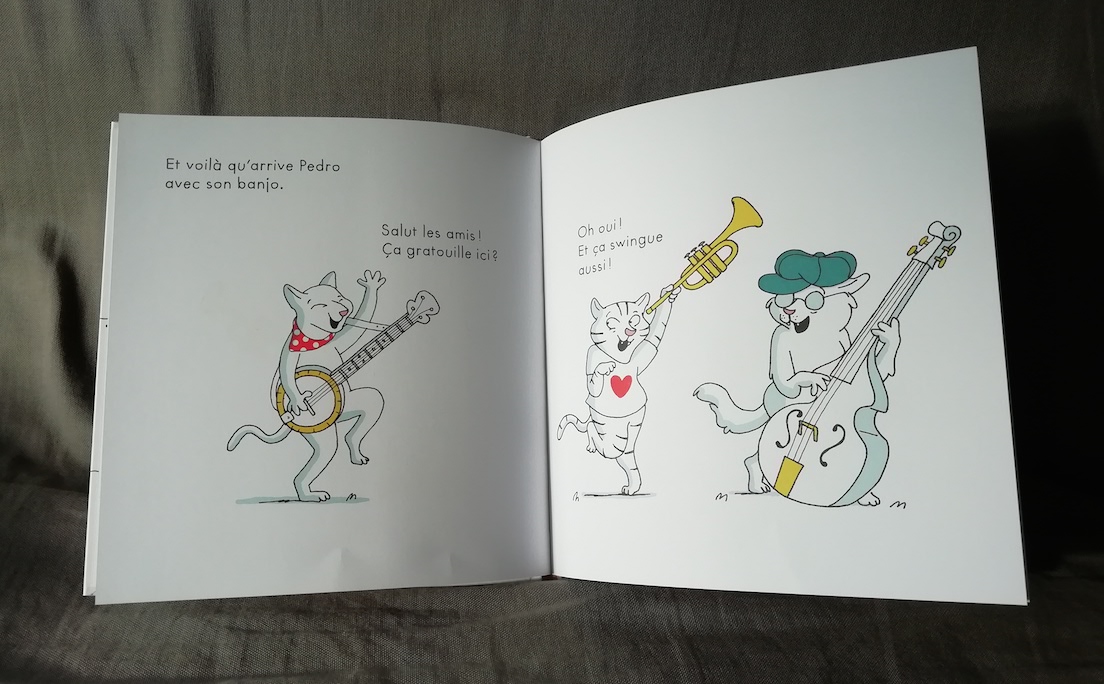 Rémi chat musicien pages